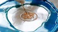 چه مولفه هایی تعیین کننده قیمت رزین هستند؟