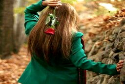 عکس پروفایل دخترونه؛ گل رز