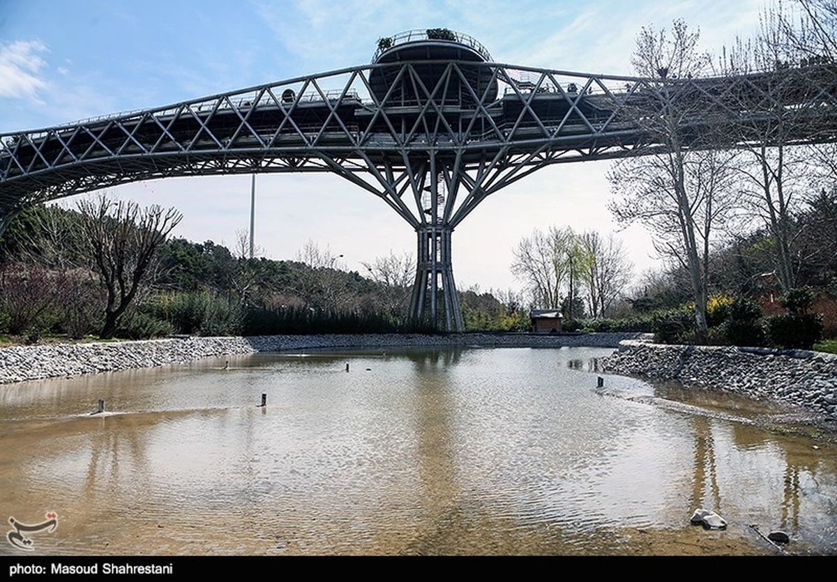 خودکشی مرگبار از روی پل طبیعت تهران