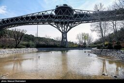 خودکشی مرگبار از روی پل طبیعت تهران