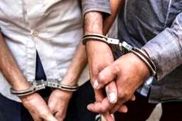 7 نفر از عوامل تولید مشروبات دست ساز در بندرعباس دستگیر شدند