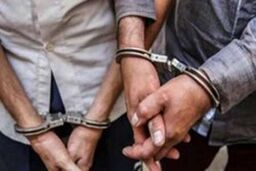 7 نفر از عوامل تولید مشروبات دست ساز در بندرعباس دستگیر شدند