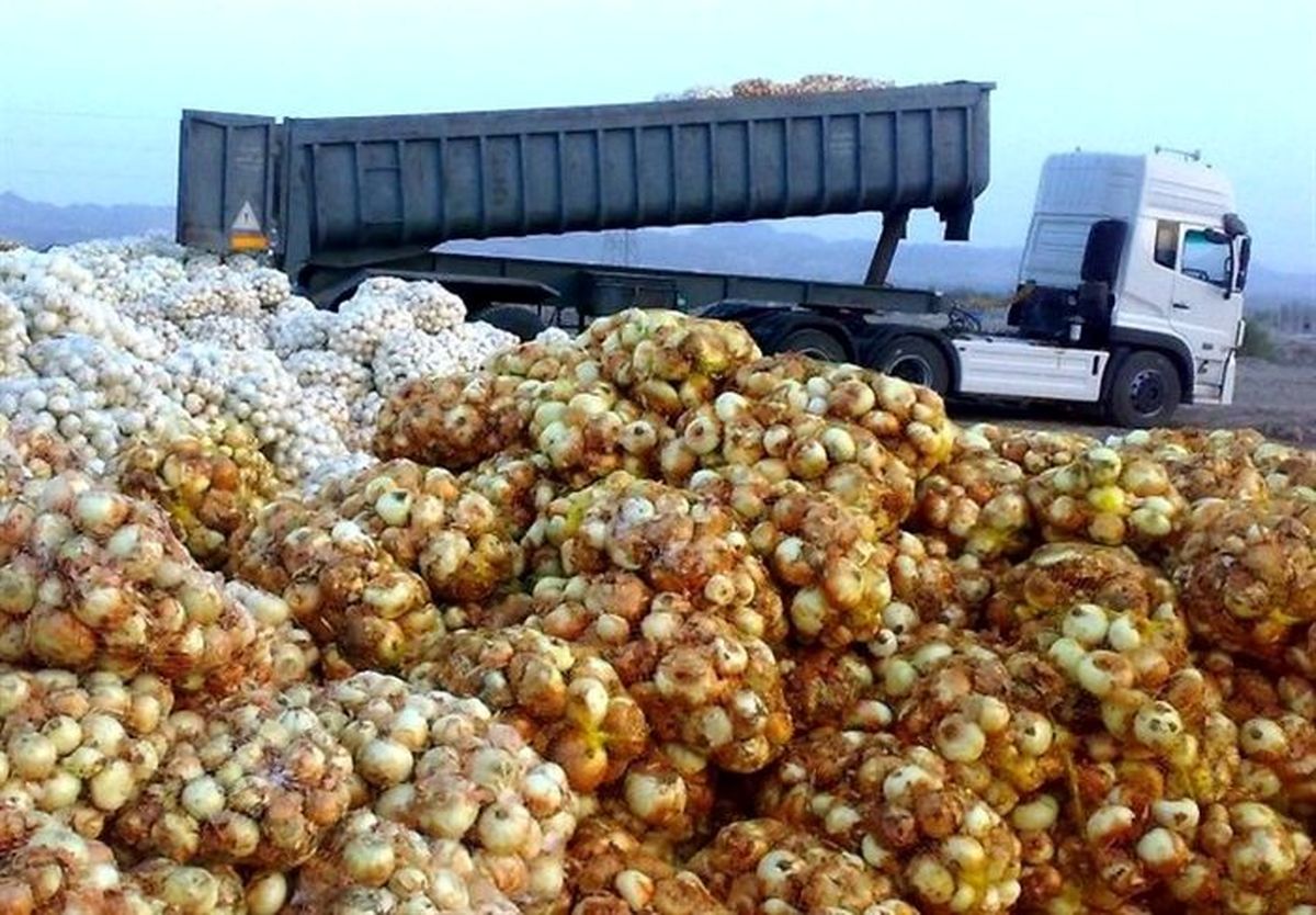 فواید شگفت‌انگیز پیاز برای بانوان