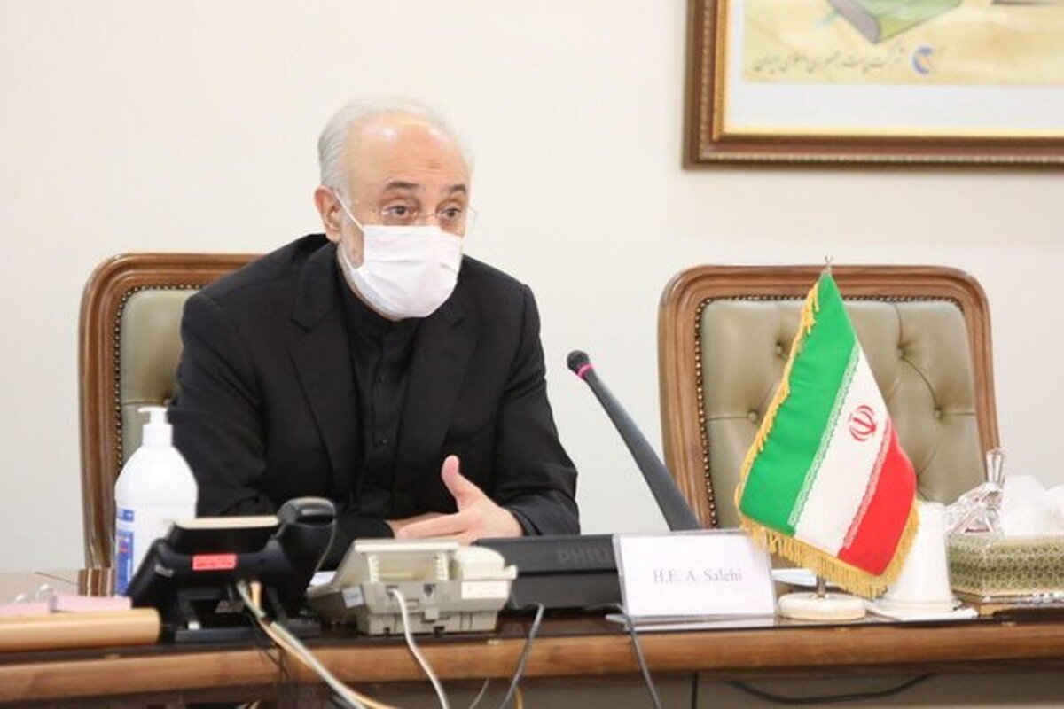 علی اکبر صالحی کاندیدای انتخابات 1400 می‌شود؟