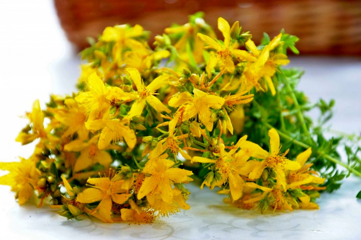 شربتی عجیب با قدرت شگفت انگیز که شاید تا به حال نمی شناختید