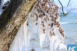 دنیای یخ‌زده در ژنو+تصاویر