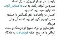 وزیر کابینه هم منتقد سریال پایتخت شد 