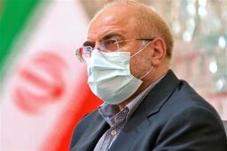 مشکلات بازار سرمایه از زبان رئیس مجلس