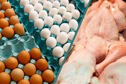 خبر خوش/  مرغ و تخم مرغ باز هم ارزانتر شد