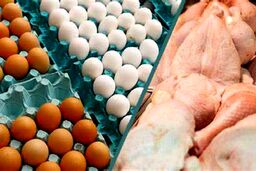 پیش بینی مرغ 80 و تخم مرغ 110 هزار تومانی