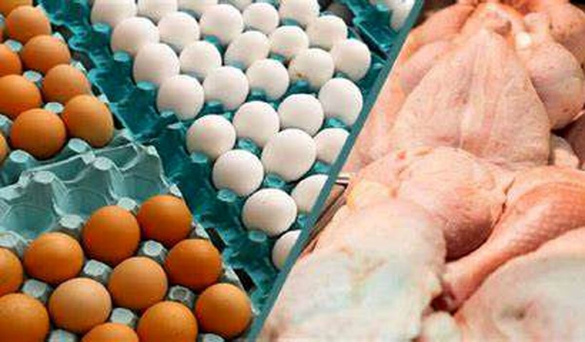 خبر خوش/  مرغ و تخم مرغ باز هم ارزانتر شد