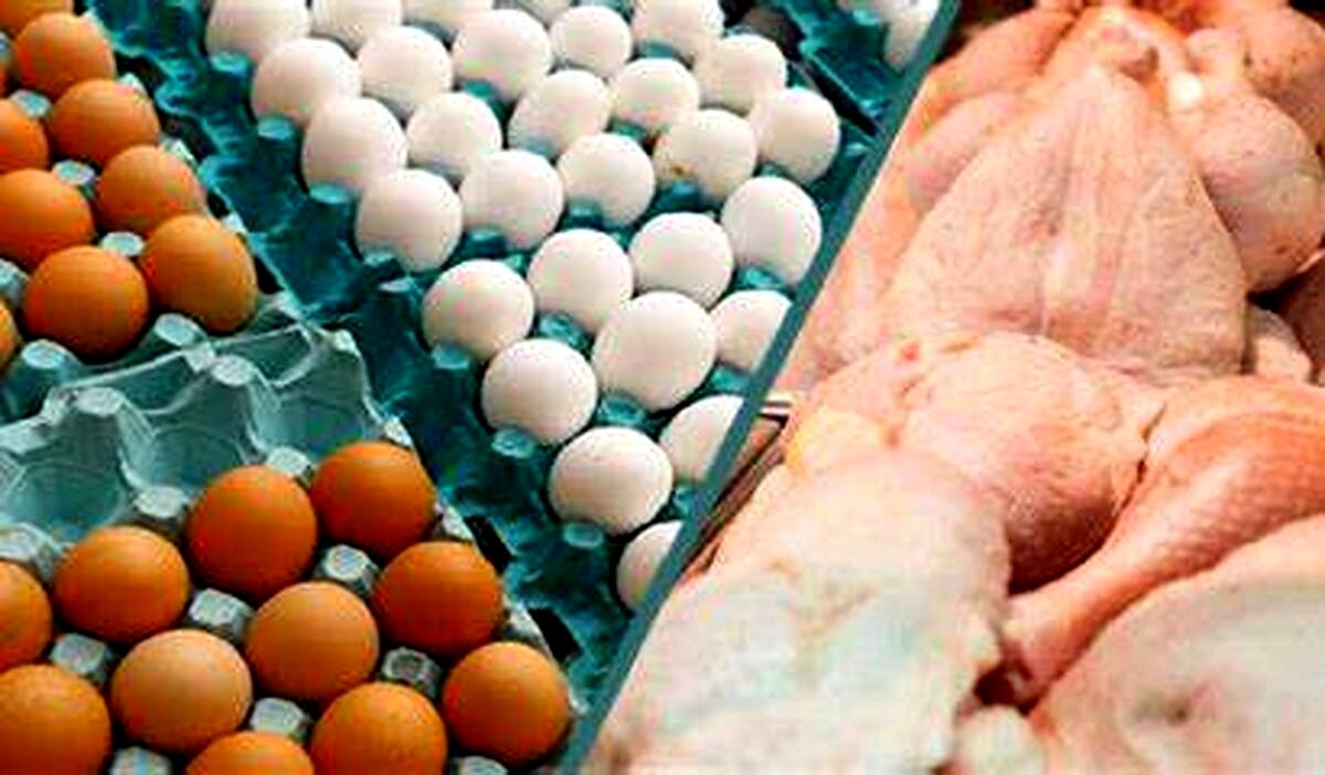 پیش بینی مرغ 80 و تخم مرغ 110 هزار تومانی