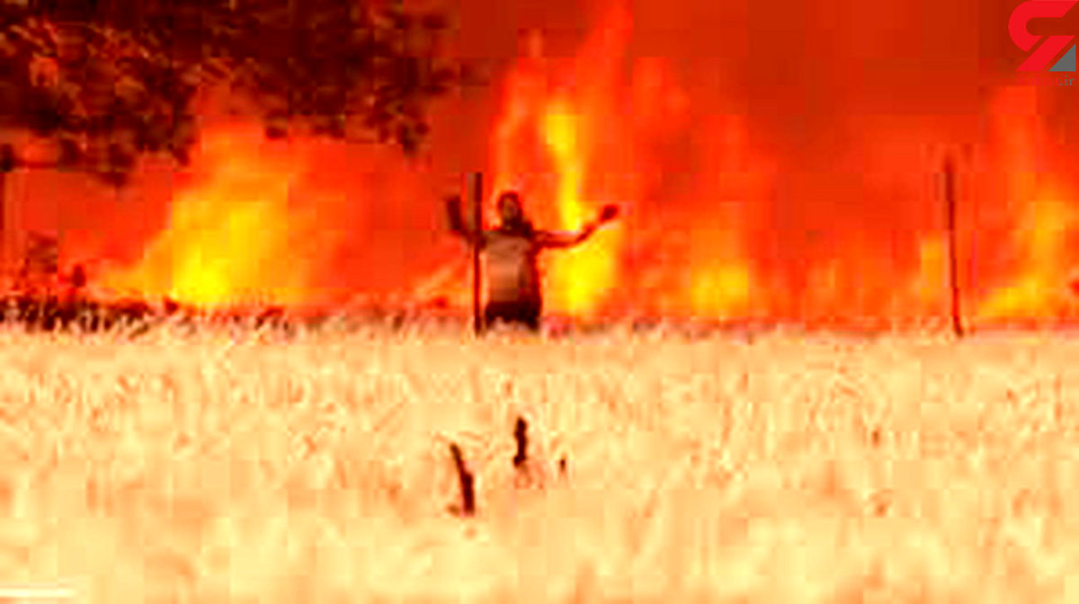 فیلم فرار مرد از دل آتش مرگبار جنگل!/ با لباس سوخته می دوید!