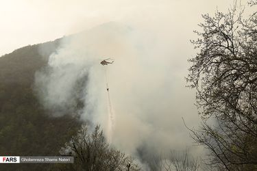 روز جنگلبان