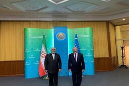 دیدار و گفتگوی ظریف با همتای ازبکستانی در تاشکند