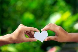 آیا رابطه زناشویی وعاشقانه شما سالم است؟

