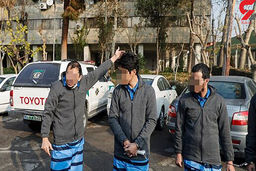 شوک از نقش یک دختر در شهادت آرمان علی وردی + عکس این دختر و 5 همدستش