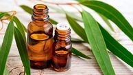 ترکیب جادویی اسانس اکالیپتوس با سایر اسانس‌ها در آروماتراپی خانگی