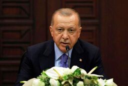اردوغان: ترامپ شخص بزرگی است/ امیر قطر را دوست دارم