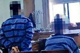 محاکمه ۲ پسر به اتهام آزار دختر جوان در باغ