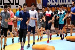 اردوی تیم ملی کشتی فرنگی از فردا آغاز می‌شود