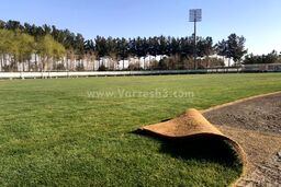 سپاهان به دنبال ایجاد چمن‌هایی در کلاس جهانی (عکس)