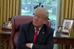 ترامپ :برنی سندرز دیوانه و جو بایدن خواب آلود دو رقیب نهایی من هستند