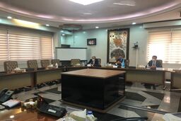 مدیرکل آژانس با اسلامی دیدار کرد
