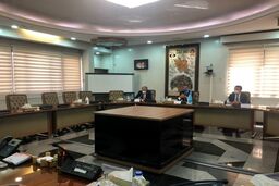 مدیرکل آژانس با اسلامی دیدار کرد