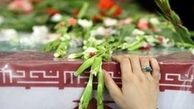 شهید خاص جنگ ۱۲ روزه را بشناسید + فیلم