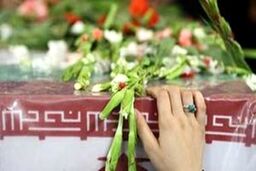 شهید خاص جنگ ۱۲ روزه را بشناسید + فیلم