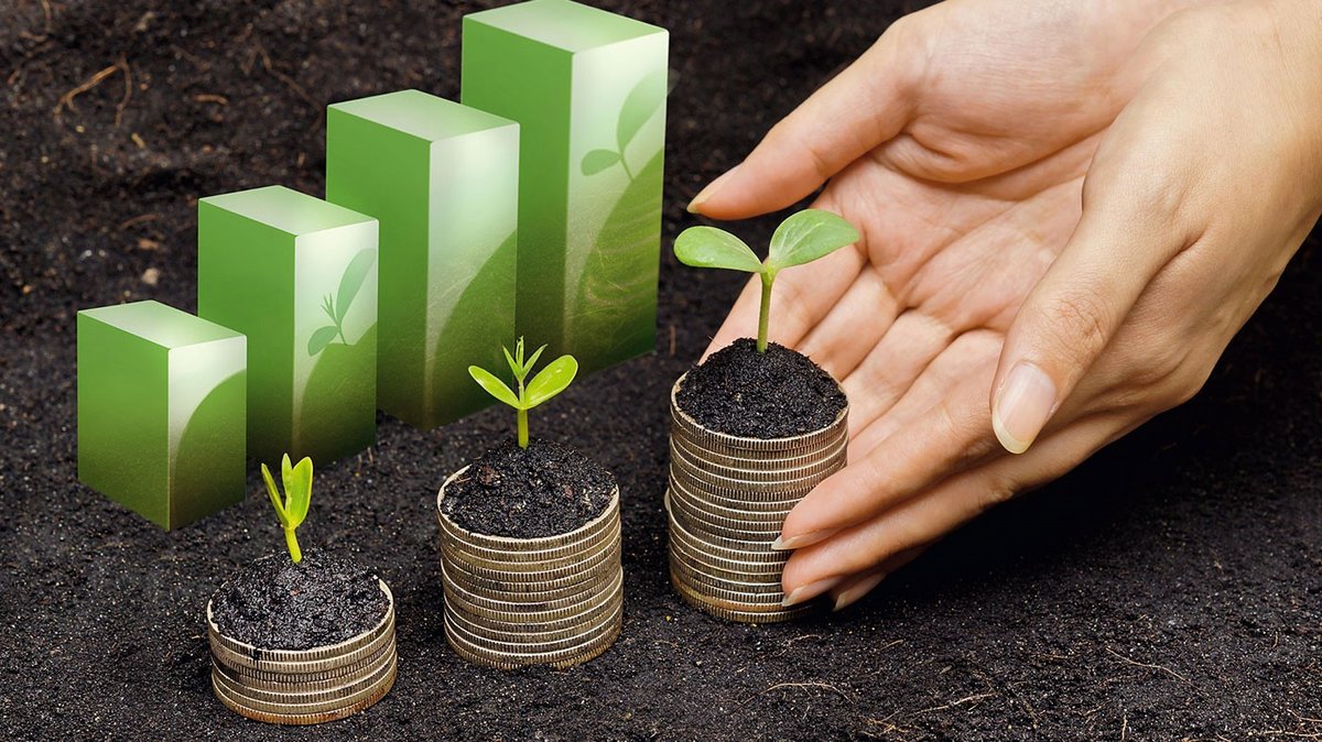 راهکارهای موفقیت در سرمایهگذاری با توجه به شرایط اقتصادی ایران