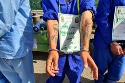 دستگیری جوان زورگیری که پدرش رئیس بانک است