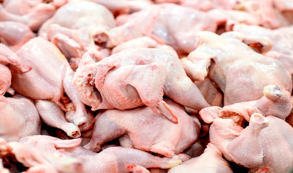 قیمت مرغ ارزان شد | قیمت مرغ در بازار امروز