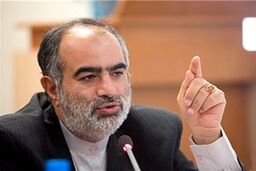 کنایه آشنا به اصلاح‌طلبان: رحم اجاره‌ای مشکل عقیم بودن را حل نمی‌کند