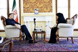 چند جمله با امیر دیپلماسی ایران