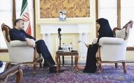 چند جمله با امیر دیپلماسی ایران
