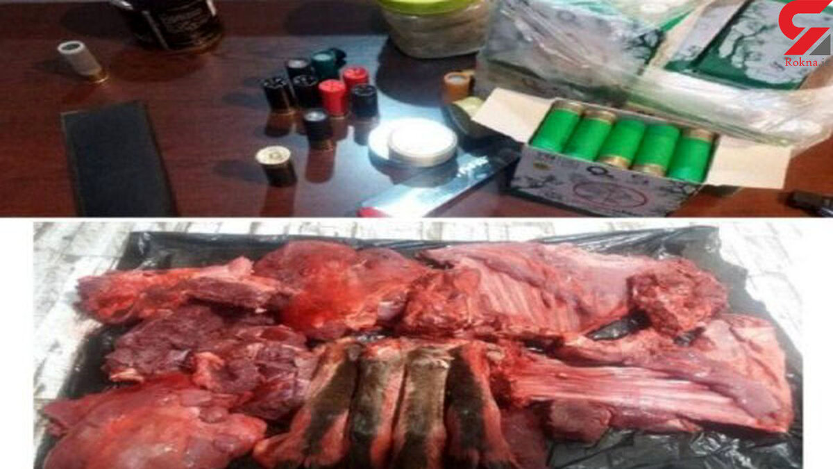 عکس تلخ از شکار بز کوهی در قروه / 3 شکارچی مسلح دستگیر شدند