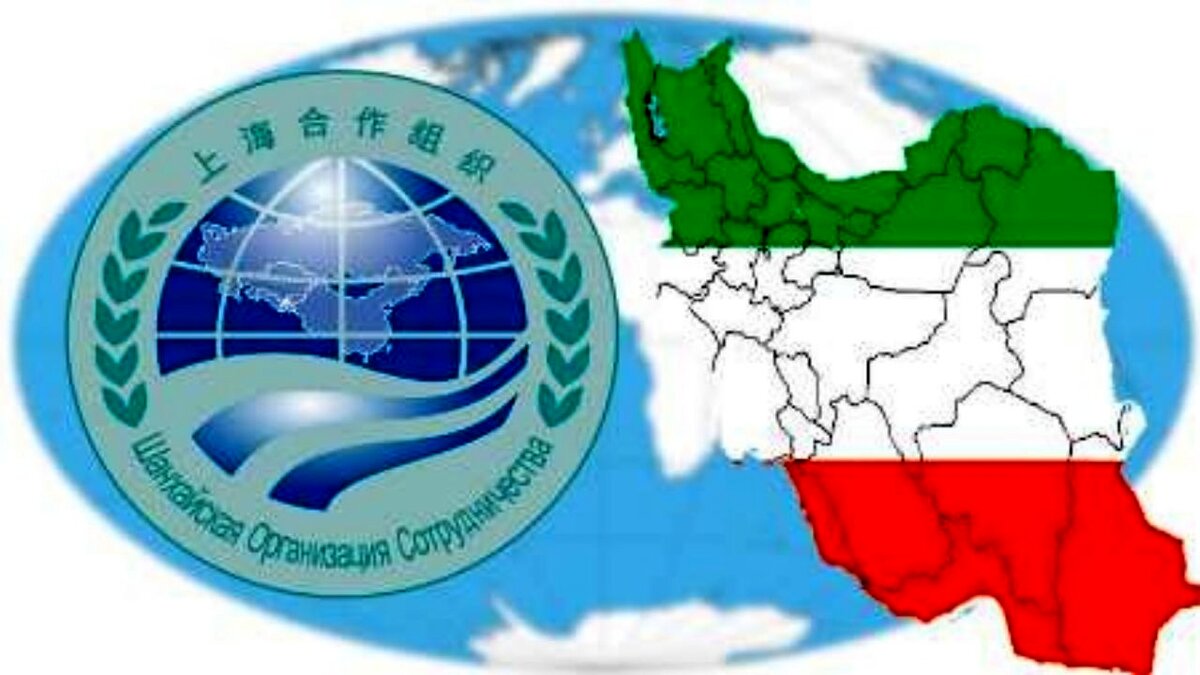 اعداد شگفت انگیز سازمان شانگهای