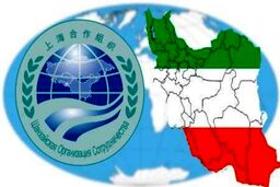 اعداد شگفت انگیز سازمان شانگهای