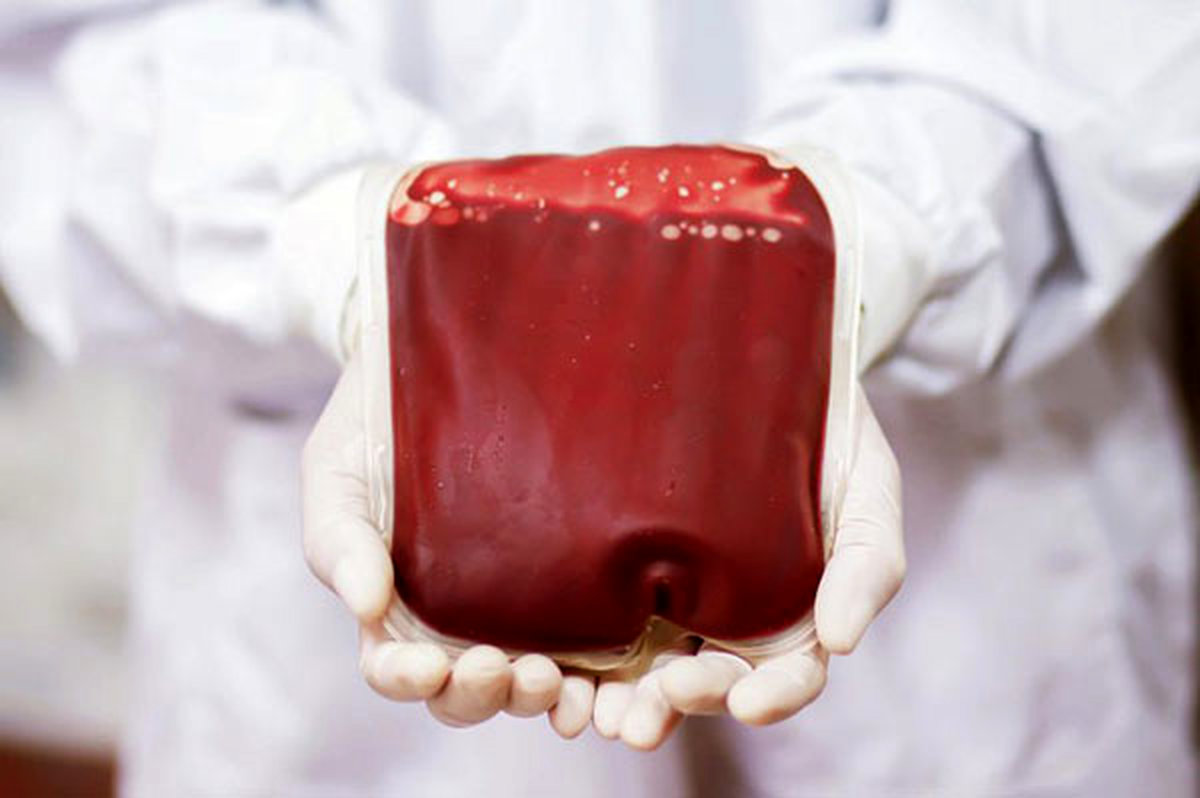 چیزهایی که پشهها دوست ندارند شما بدانید!