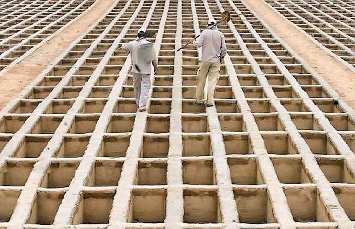 پاسخ به ابهامات غسل و دفن قربانیان کرونا در بهشت زهرا