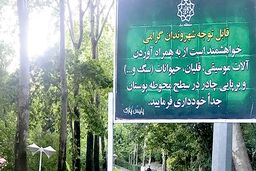 سرو قلیان در پارک «بدون دخانیات» بازی بچه ها غرق در دود +عکس
