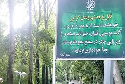 سرو قلیان در پارک «بدون دخانیات» بازی بچه ها غرق در دود +عکس