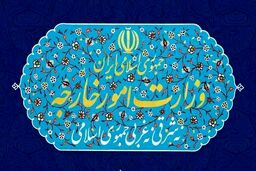 آغاز صدور کارت ملی برای ایرانیان مقیم آمریکا در پی سفر رئیسی