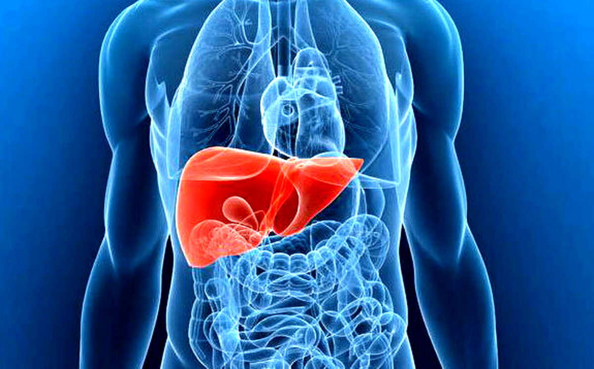 با این رژیم گیاهی به جنگ کبد چرب بروید