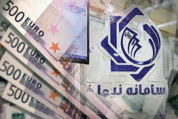 مقصر اختلال در معاملات نیما کیست؟