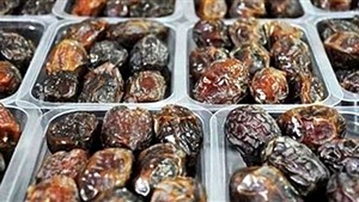 کشف خرمای تریاکی در ورامین