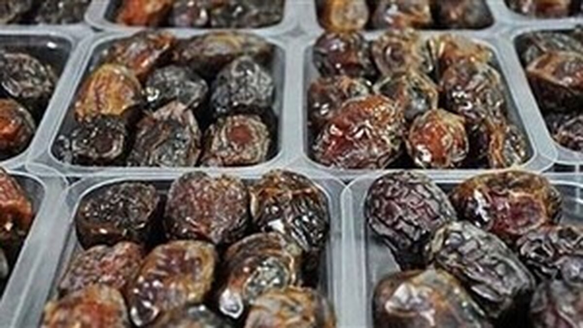 کشف خرمای تریاکی در ورامین