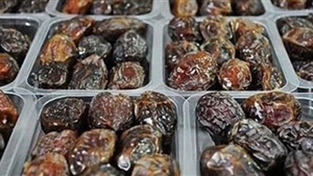 کشف خرمای تریاکی در ورامین